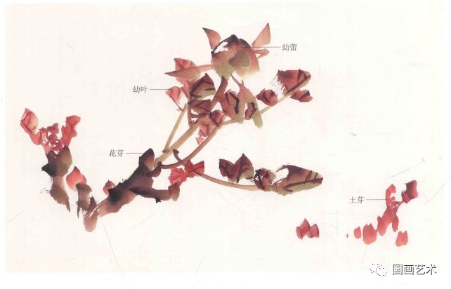 图文教程:写意牡丹叶画法解析图片