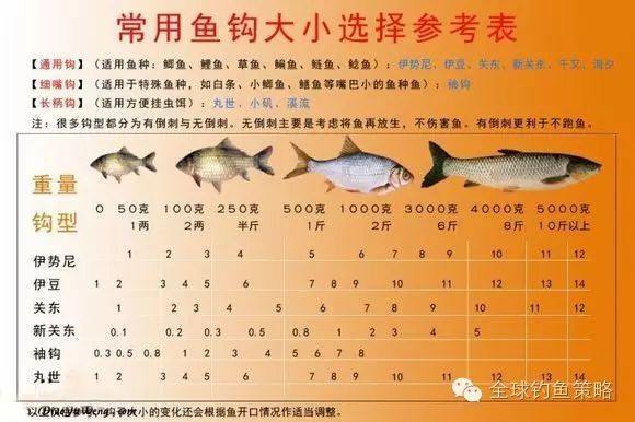 参考对象鱼鱼体的大小合理选择鱼钩的大小