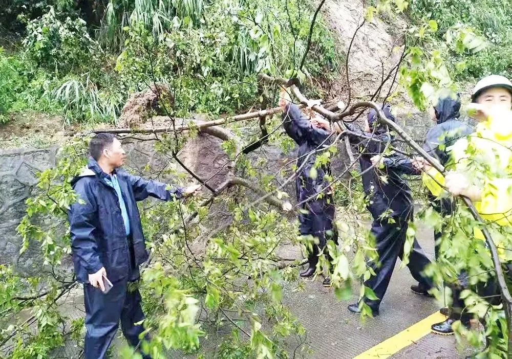 象山定塘人口_象山晓塘(2)