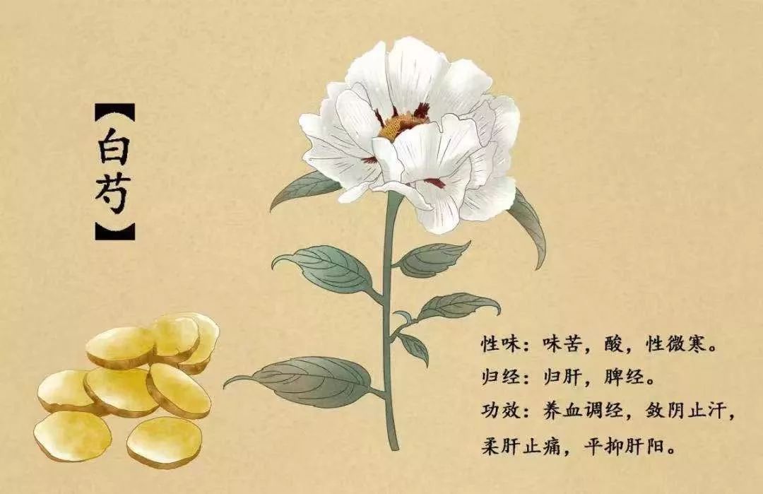 验方:熟地20g 当归15g 白芍10g 川芎6g 丹参10g 茺蔚子10g香附8g
