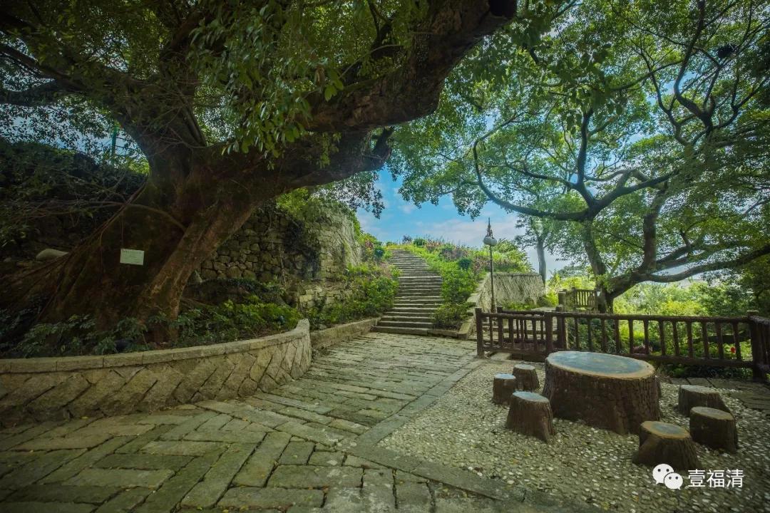 小编为大家休闲避暑旅行好去处~~~古公园攻略古榕树公园就在南岭镇蛙的推荐苹果榕树手机图片