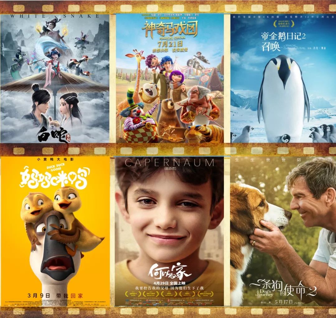 儿童暑假看的电影 ac4bc38a0ed241a8974806fcdd90e479.jpeg