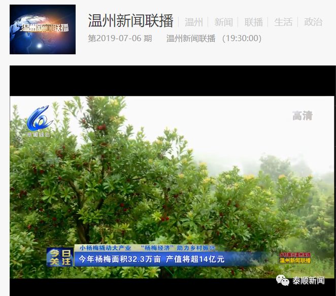 泰顺市经济总量_泰顺廊桥