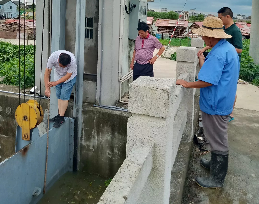 农村水利工作者查看圩区水闸情况,确保水利设施运行正常