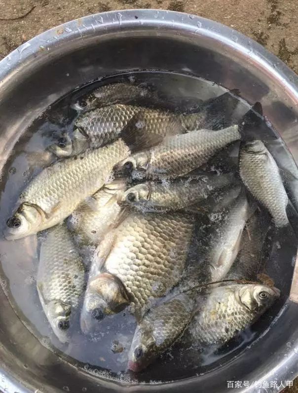                     浮漂一旦出现这几个现象，多半是找底没找准，建议你早点改过来