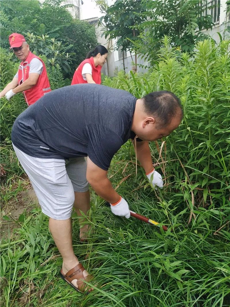 玻纤路社区环境整治向城中村进军