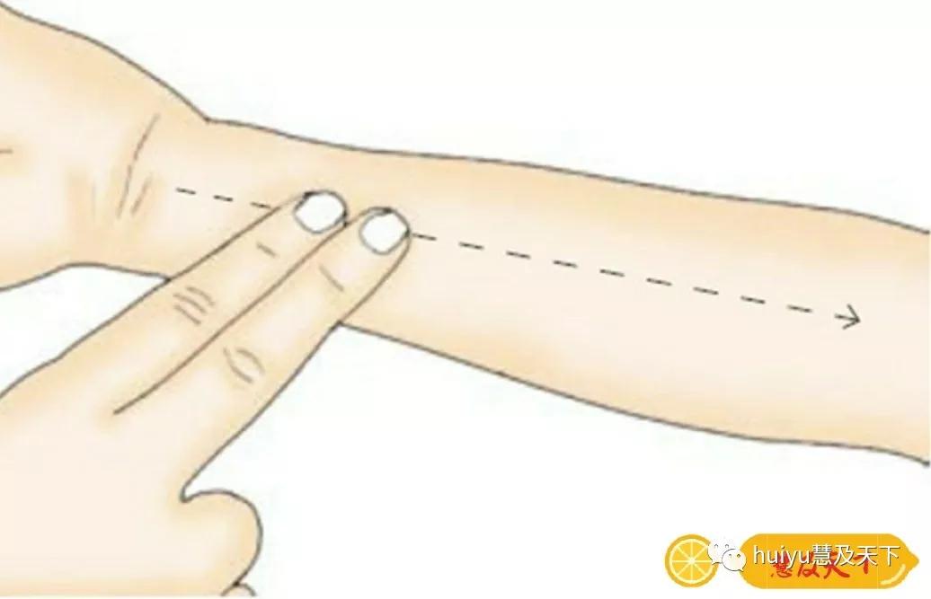 位置:前臂掌侧正中,自腕横纹中点至肘横纹中点呈一直线.