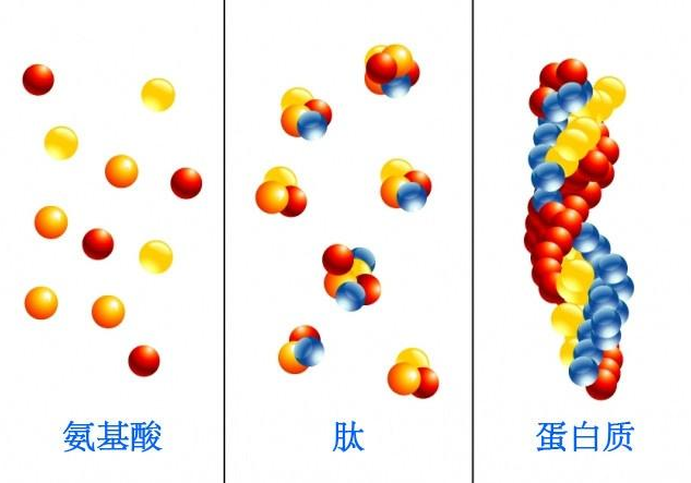 be80856d2e8b474aaa118da06e64c64e.png