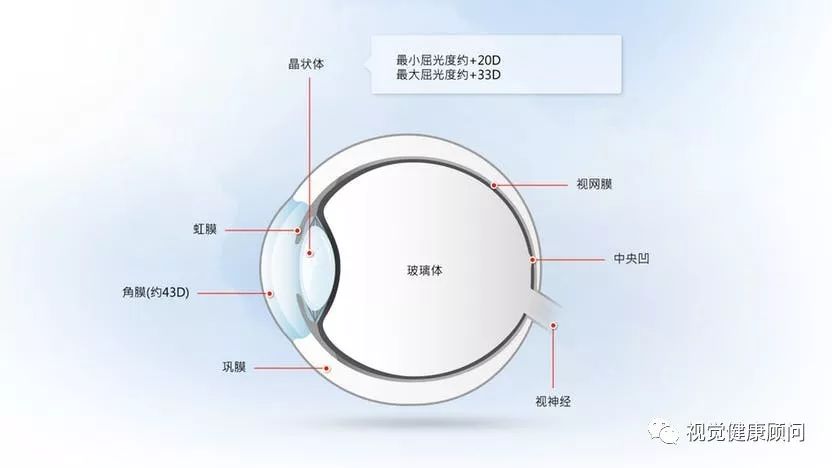 解剖:人类的眼睛结构眼睛的工作原理与摄像机非常相似,简而言之,它的