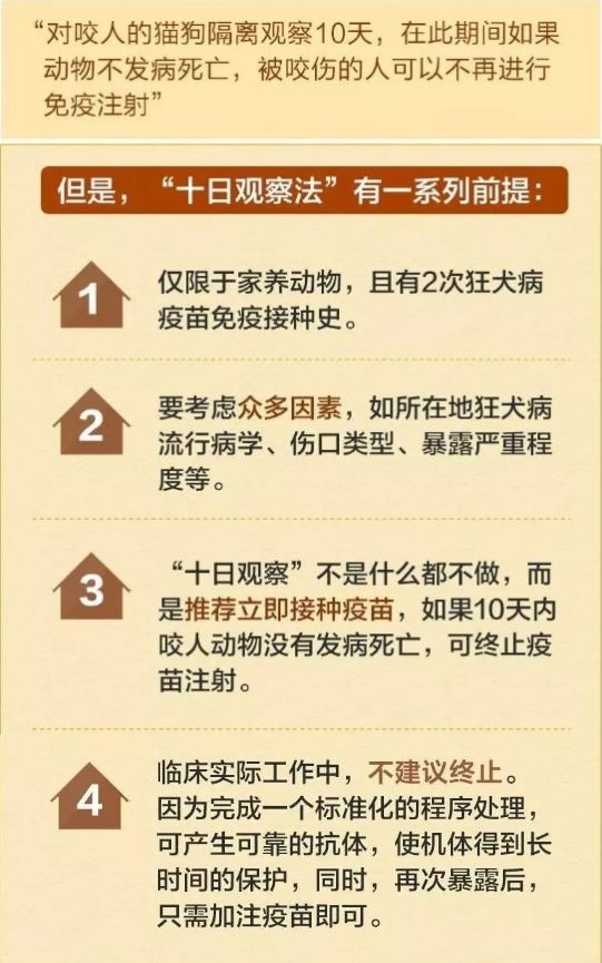 点击图片看原样大小图片