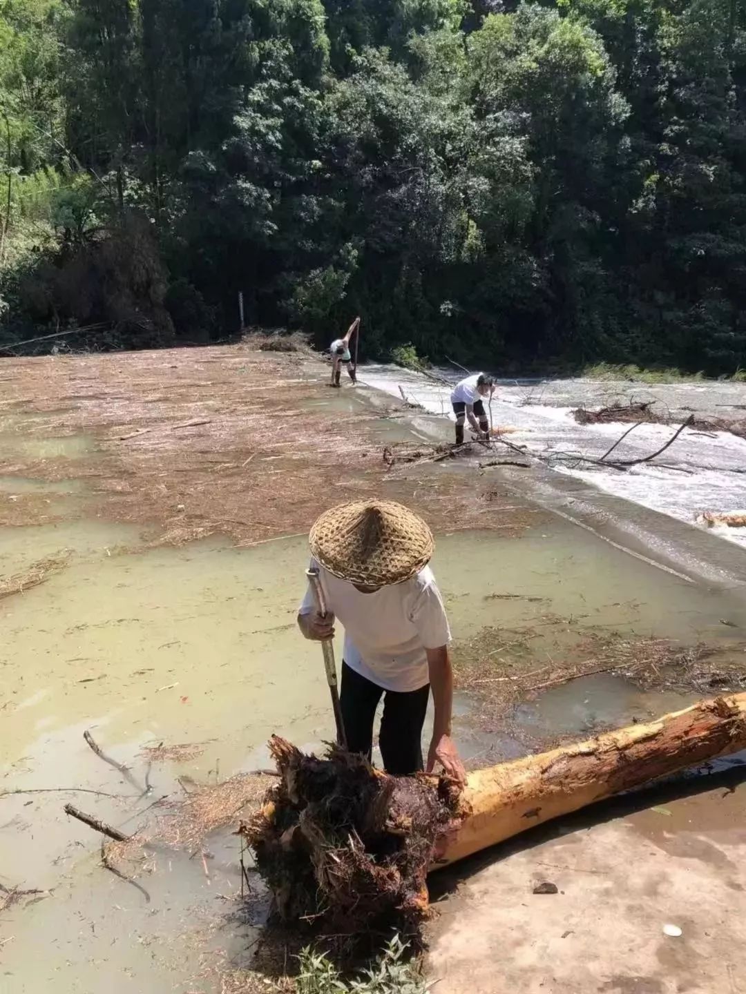 珊溪镇人口_罗小黑战记蓝溪镇(2)