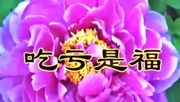 当你收到这份祝福 这些都会实现 今天我要送给你 最真诚的祝福 见到
