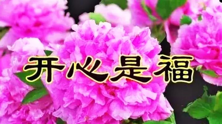 当你收到这份祝福 这些都会实现 今天我要送给你 最真诚的祝福 见到