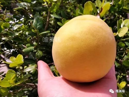 短剧中的果色果香，一场视觉与味觉的盛宴，短剧中的果色果香，视觉与味觉的双重盛宴