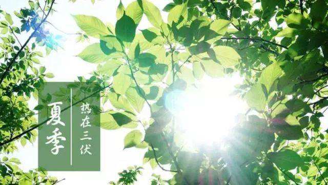                     【聪聪课堂】三伏天来袭，这5件事千万别对宝宝做
