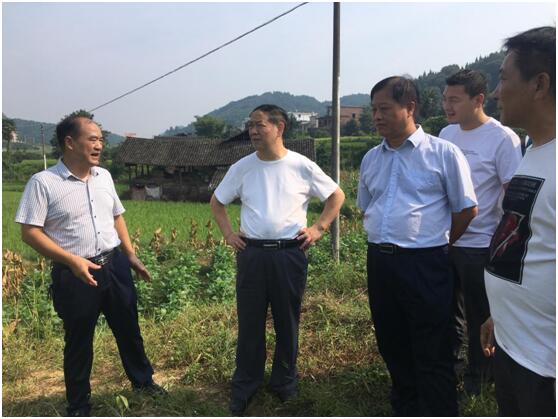 谭精益到乡镇督导调研脱贫攻坚和土地增减挂钩工作