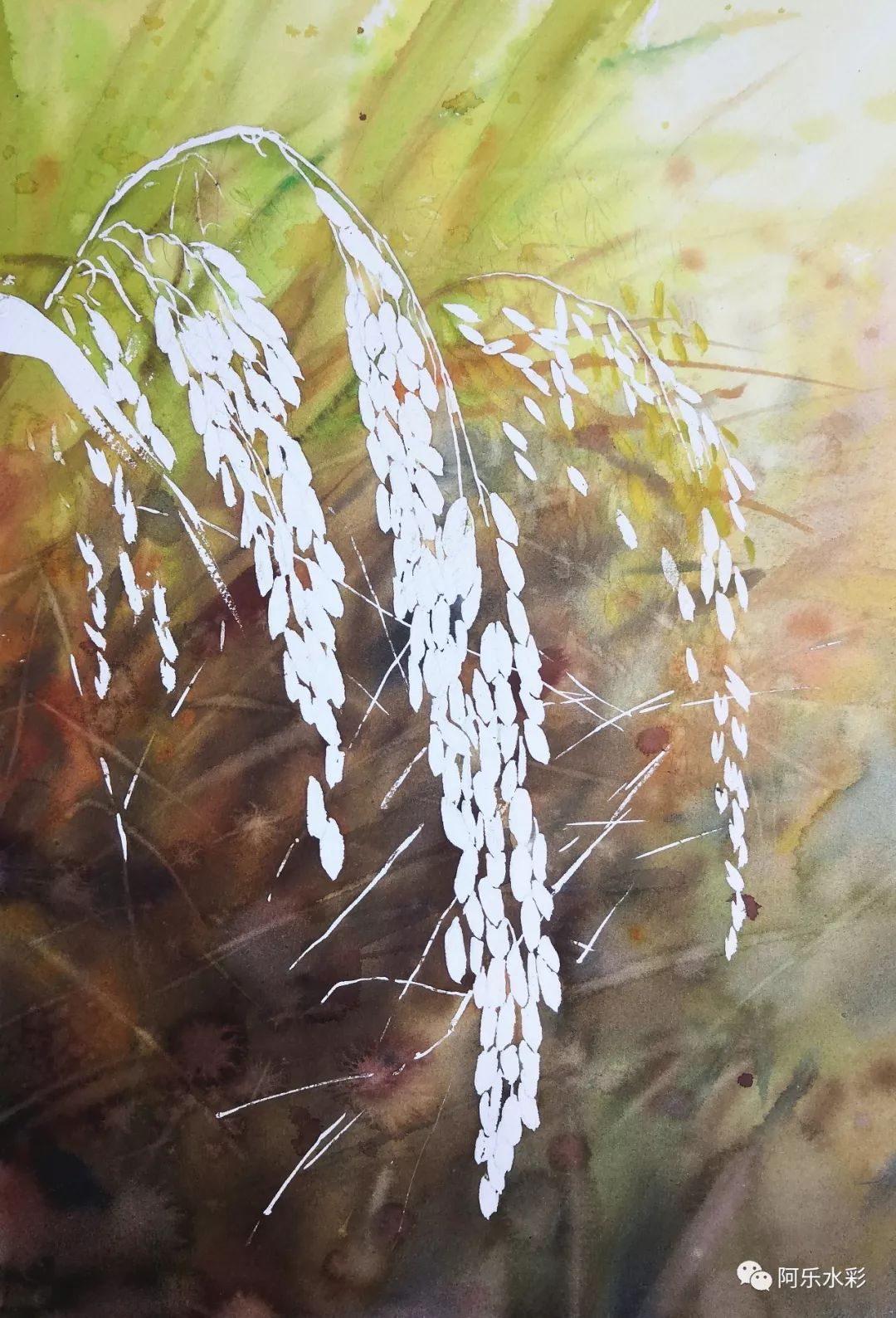 立秋,用水彩画一画稻谷