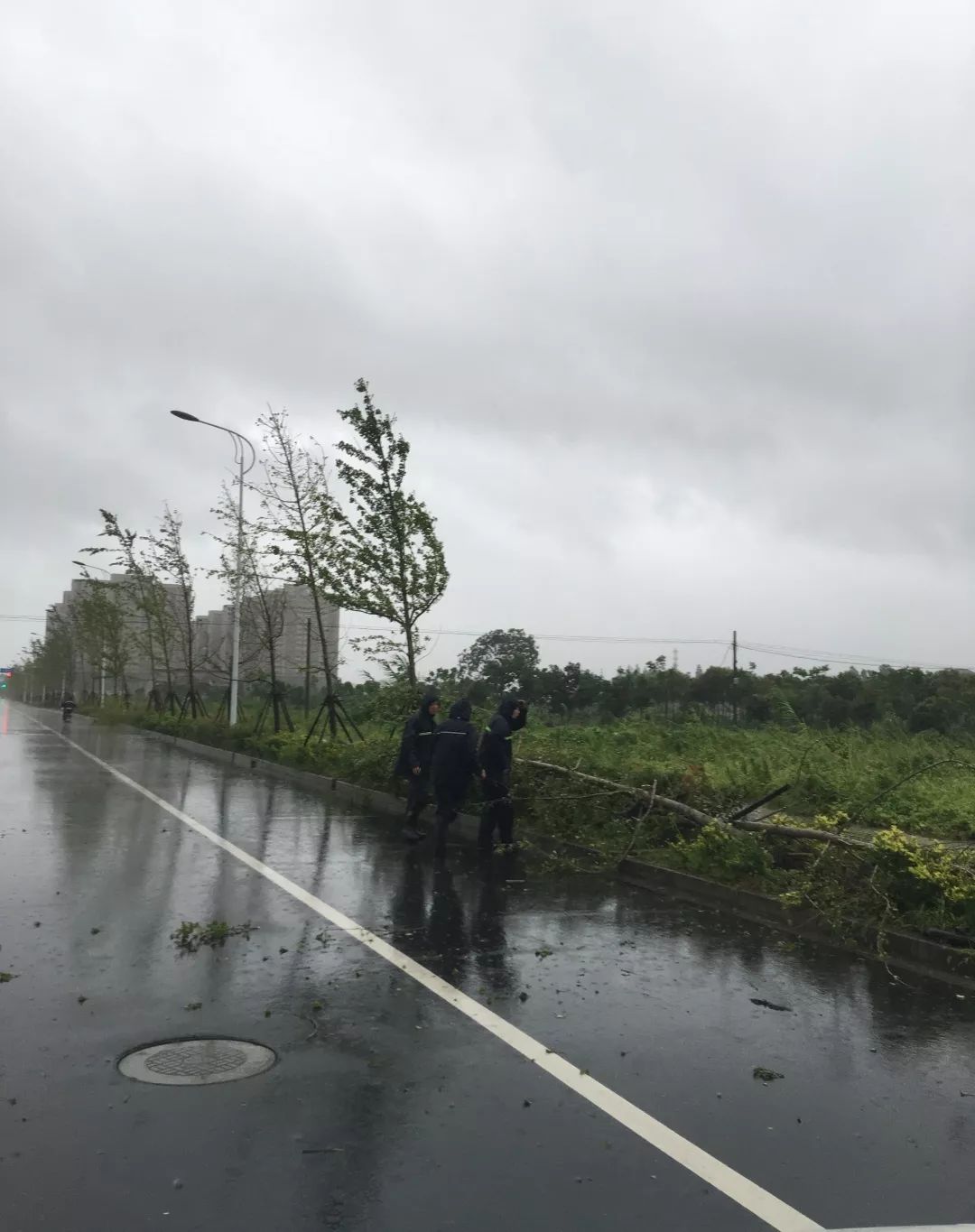 台风天里的醉美逆风前行_老人