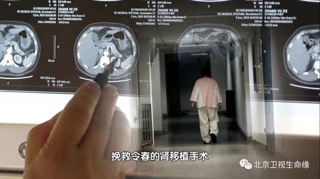 生命缘第八期完整版 03fd91717fa9477a84b1292cc9791b8e.jpeg