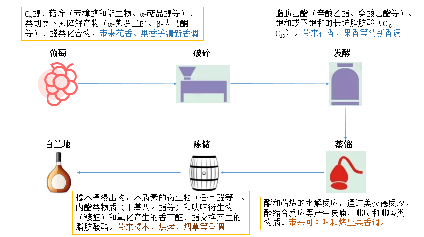 走进白兰地世界（中）_物质
