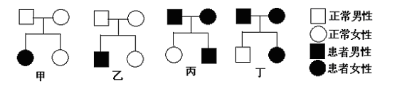 [例题2 分析下列遗传图解,判断患病性状的遗传方式.