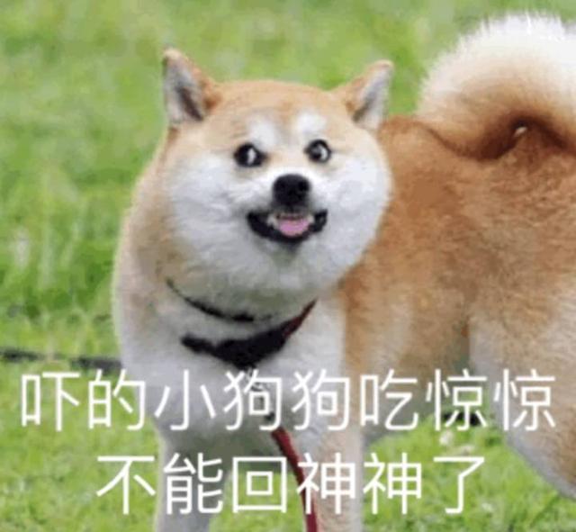 10���רҵ����,������һ����ȴ��������!