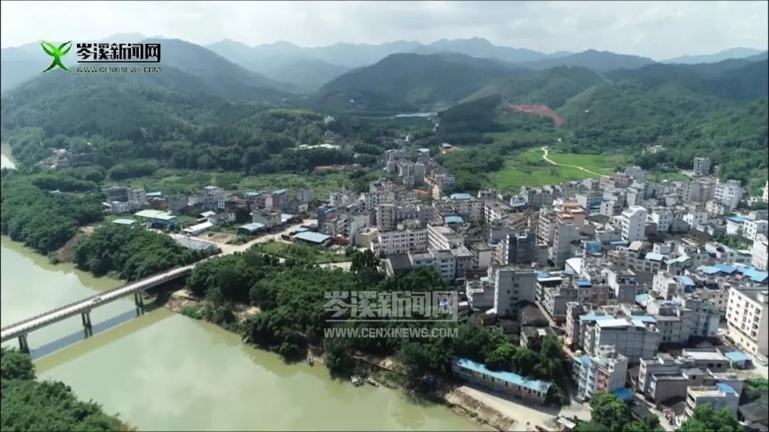 大招!波塘镇凝聚了一股强大的力量,来解决这些问题