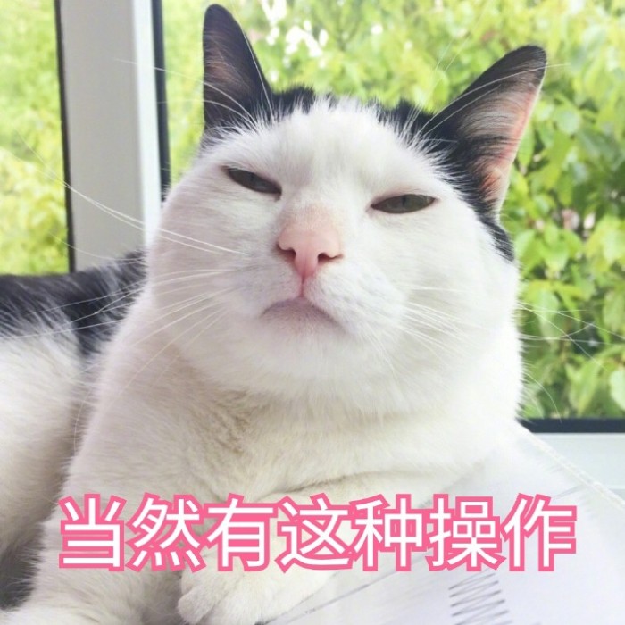 1535fa3a96ec4ffda445094709bc55e7.jpeg