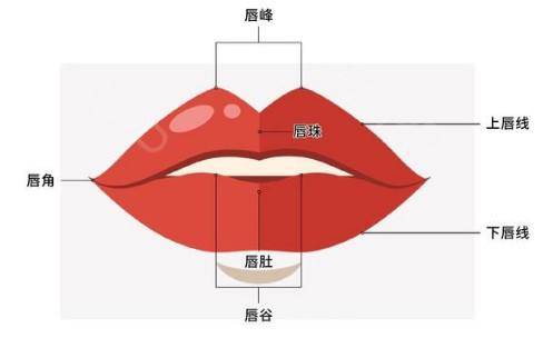 欧阳武女性嘴唇薄怎么办