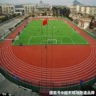 塑胶排名_塑胶跑道(2)