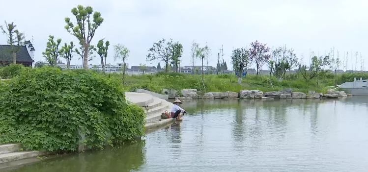 直溪镇:建设湿地公园 共享发展成果