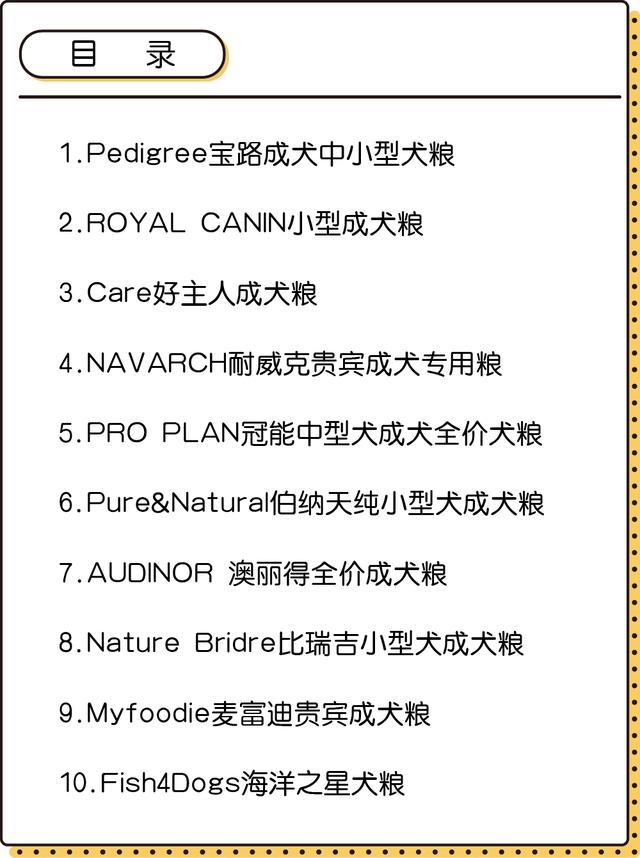 10���רҵ����,������һ����ȴ��������!