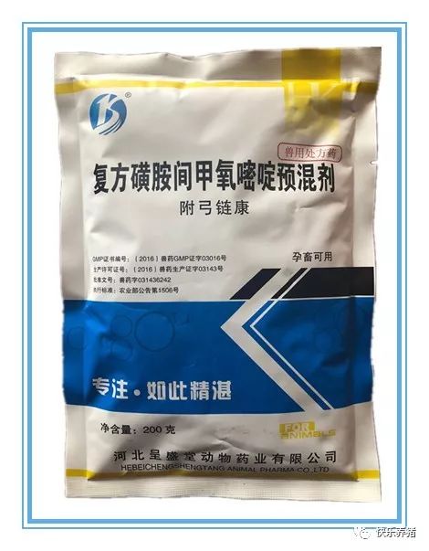 看图识别猪弓形体病，很详细！
