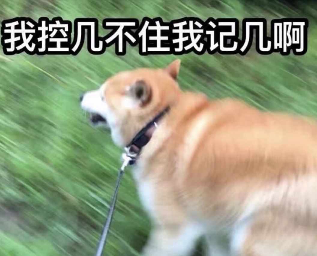 371bef9173c6488b8301a46a71a03a90.jpeg