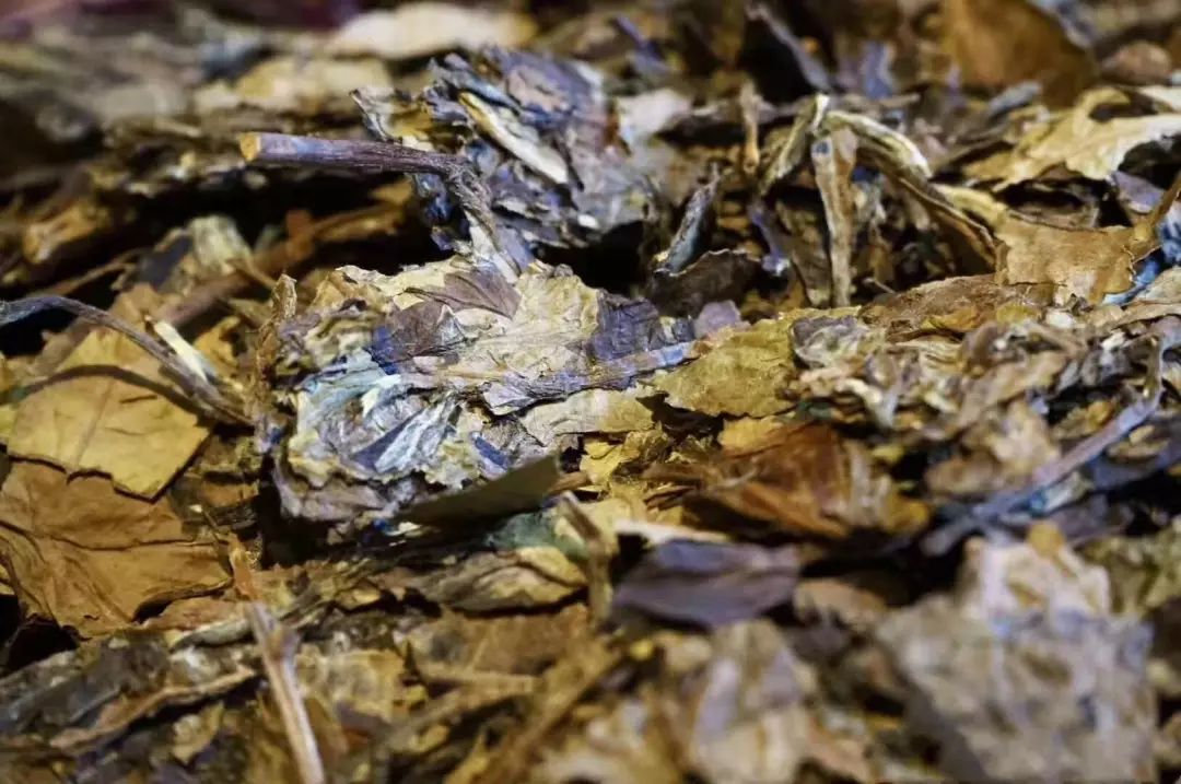                     如果你的白茶发出这四种信号，就说明存坏了！