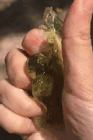                    ?这些火爆的网红玩具居然这么危险！最好一个也别给宝宝玩