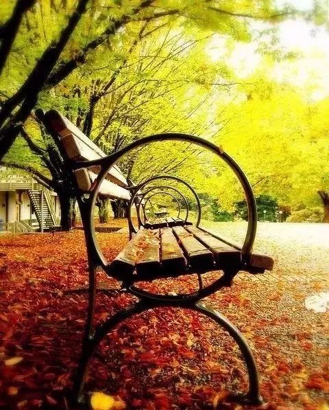 秋天该很好,倘若有你在场