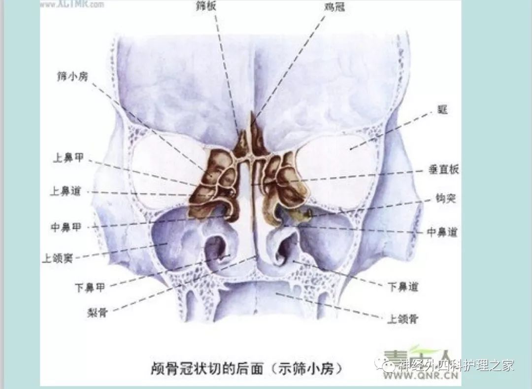 希望我们的小小分享能对您有所帮助来源:神经外四科护理之家尹苓苓