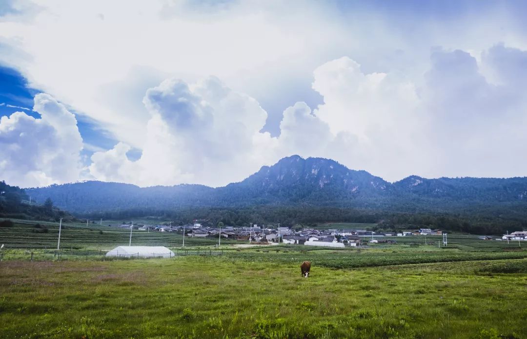 不需要门票,不需要排队,丽江隐藏的美丽景点,你知道吗?_南溪村