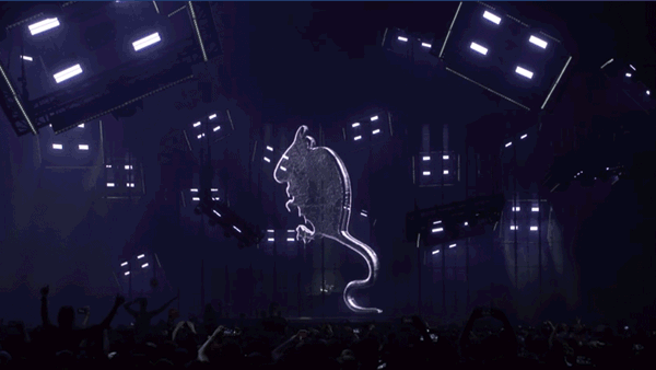 600_338gif 动态图 动图