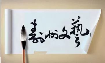 原来板桥镇和迎河镇毗邻,迎河镇李台村是农业展板示范村,省级产业园小学生农业活动作文图图片