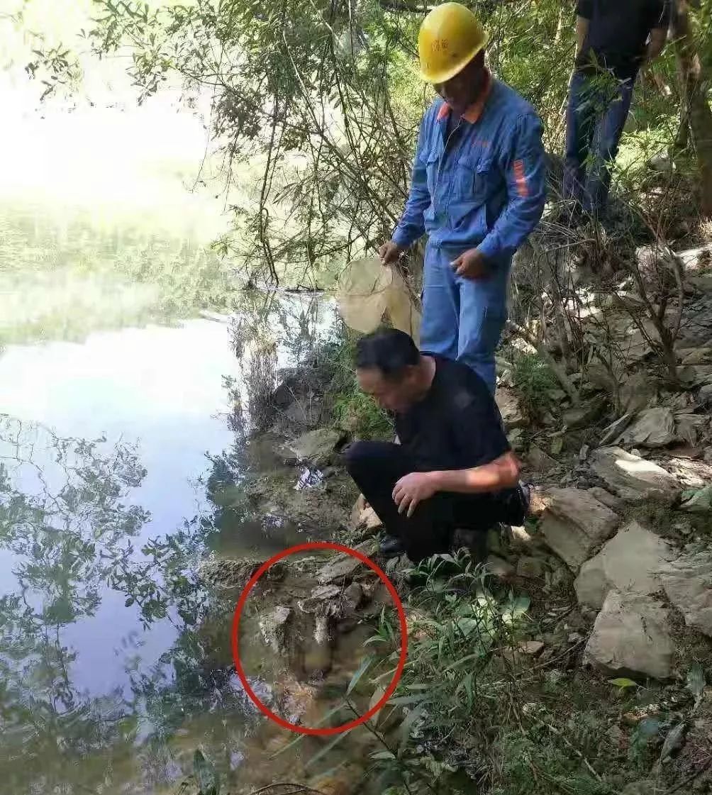 警察吗? 刚刚我在河边发现一枚炮弹, 怎么办? 什么?