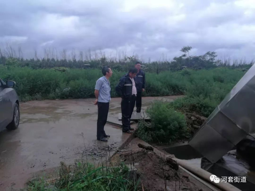 【街道动态】抗击台风 严阵以待——河套街道进一步深入扎实做好防