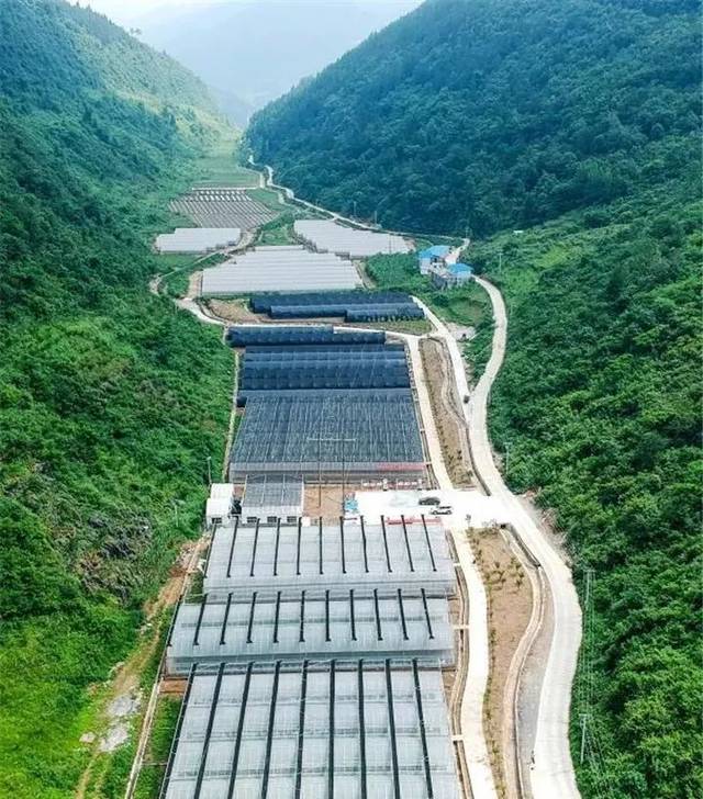 沿河县2020gdp_再见2020你好2021图片