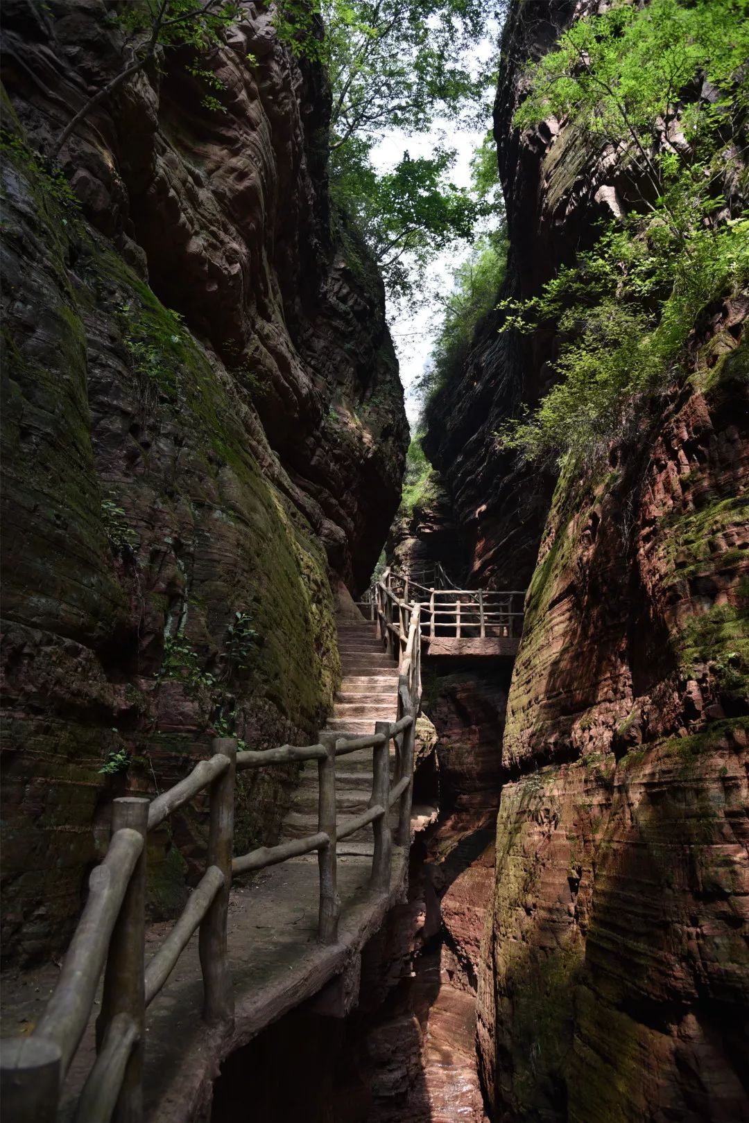 大峡谷景区