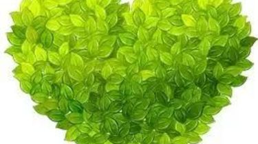 洗碗机三级水效好不好