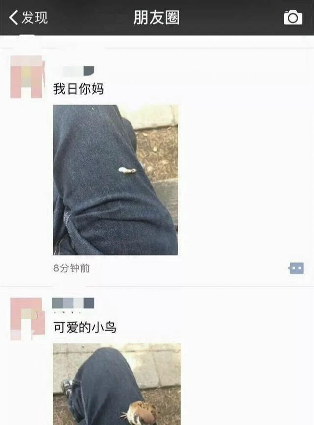 5e8dd3aa587543afb9ea5323268a6ec8.jpeg