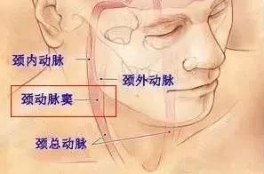                     夏季最坑娃的宝宝用品，家里有的赶快扔掉！