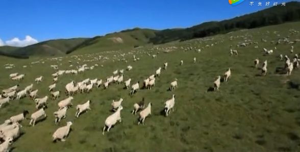 赤峰人口有多少_赤峰松山区小区有哪些