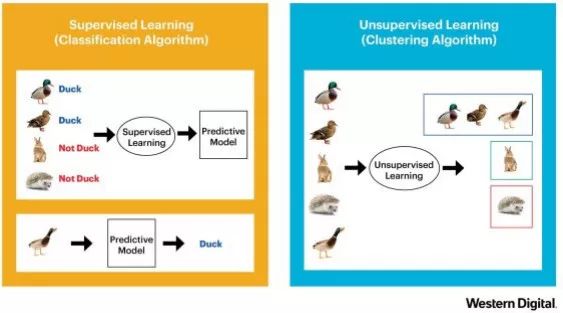 入门 NLP 项目前,你必须掌握哪些理论知识?
